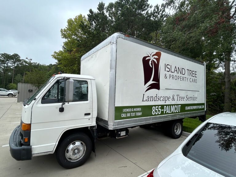 High-detail lettering graphics applied to improve clarity and brand presence