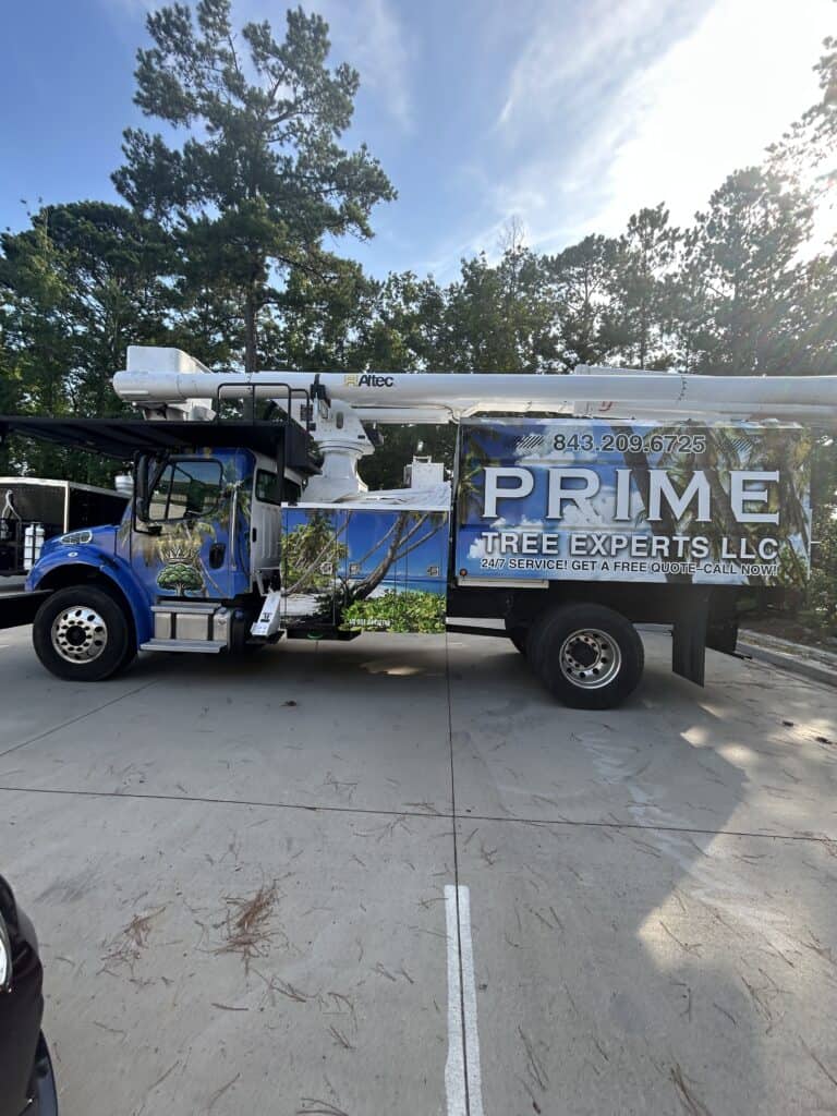A blue bucket truck wrapped in branding for Prime Tree Experts parked with its boom folded down.
